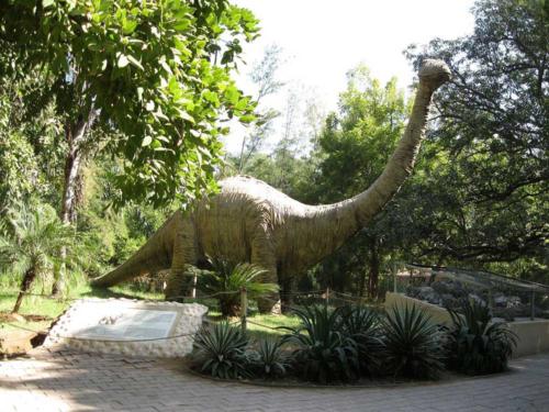 Dinosaur and Fossil Park