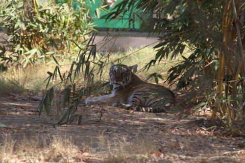 Indrodapark - Gandhinagar