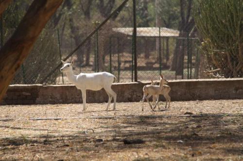 Indrodapark - Gandhinagar