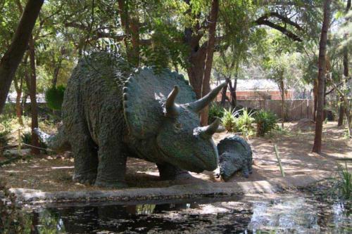 Indrodapark - Gandhinagar